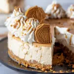 Cookie Butter No Bake Cheesecake